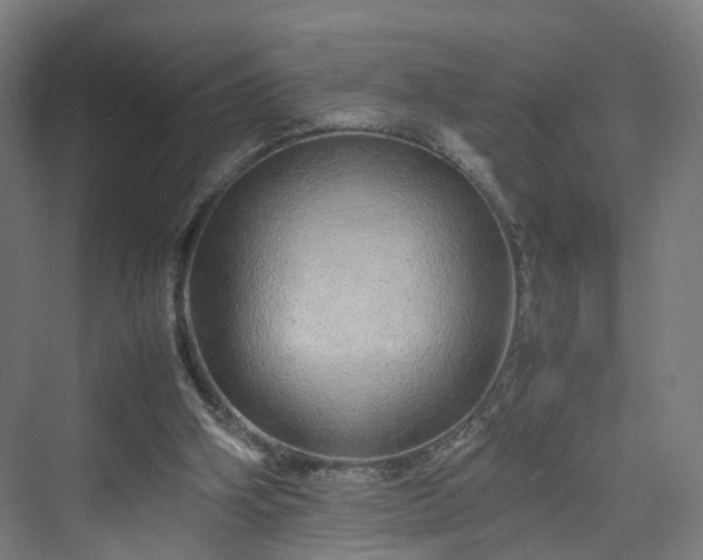 X0000070230106200606021357