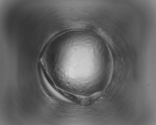 X0000070230107200606021357