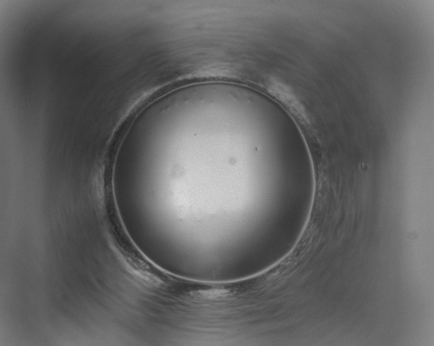 X0000070230108200606021357