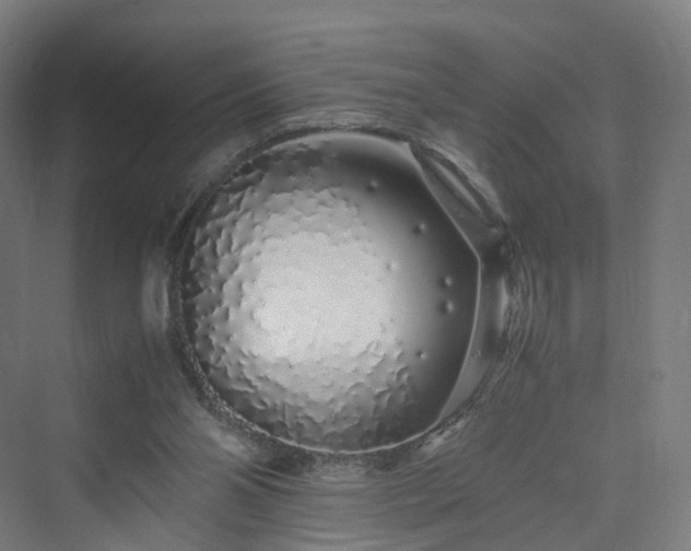 X0000070230110200606021357