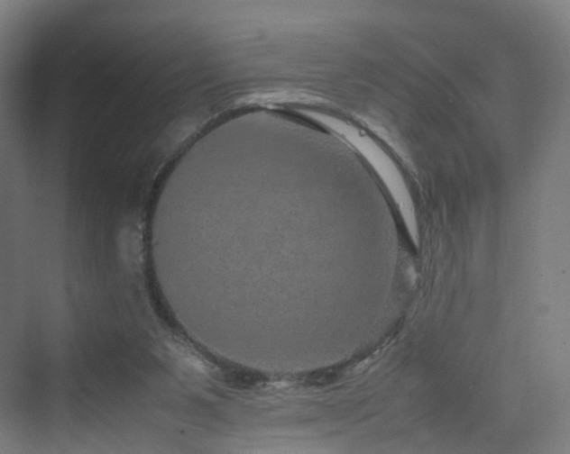 X0000070230111200606021357