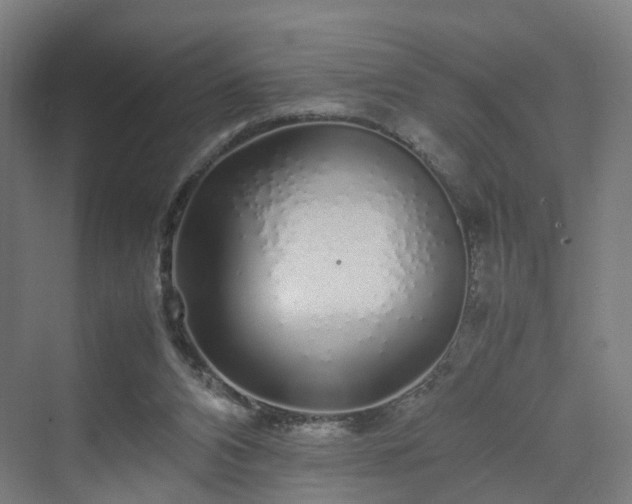 X0000070230112200606021357