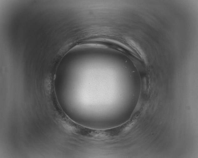 X0000070230113200606021357