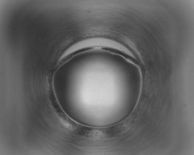 X0000070230114200606021357