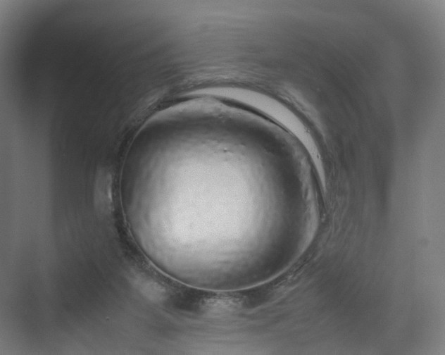 X0000070230115200606021357