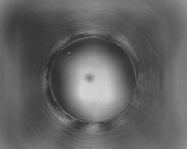 X0000070230116200606021357