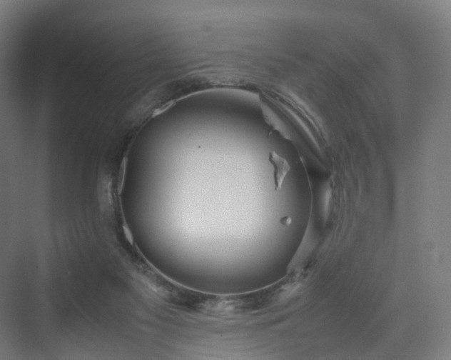 X0000070230117200606021357