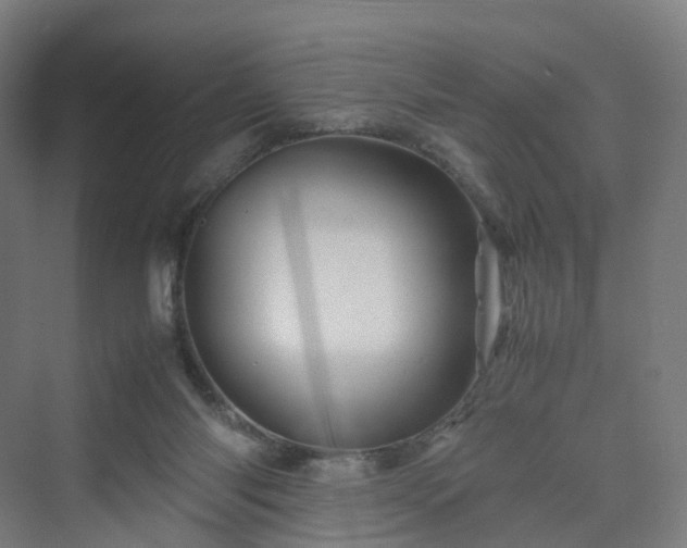 X0000070230118200606021357