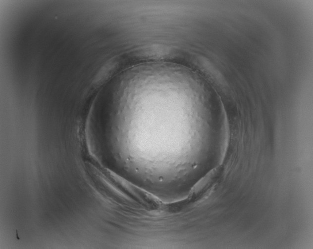 X0000070230119200606021357