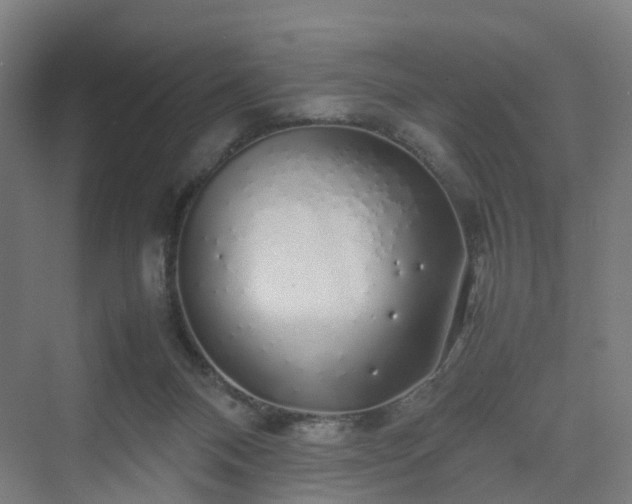 X0000070230120200606021357