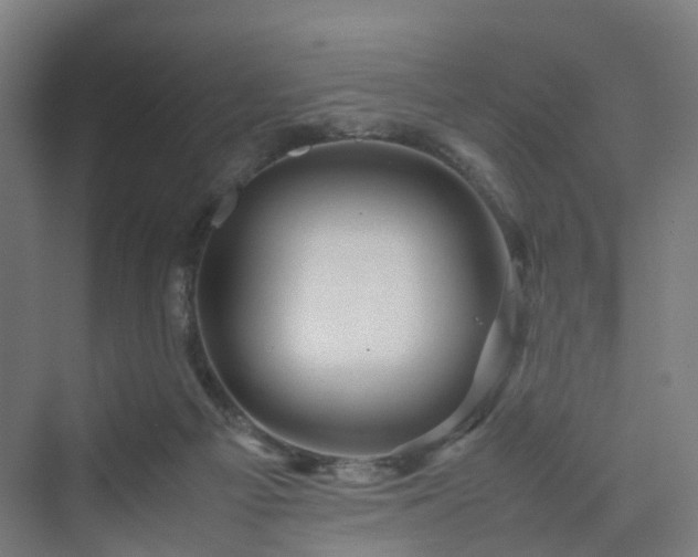 X0000070230121200606021357