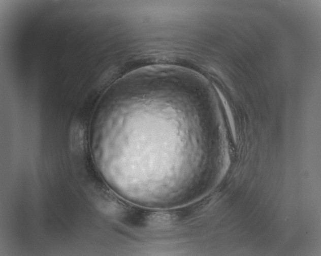 X0000070230123200606021357