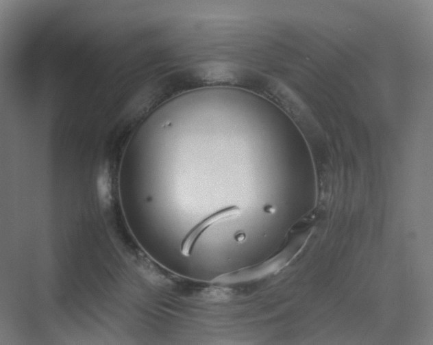 X0000070230124200606021357