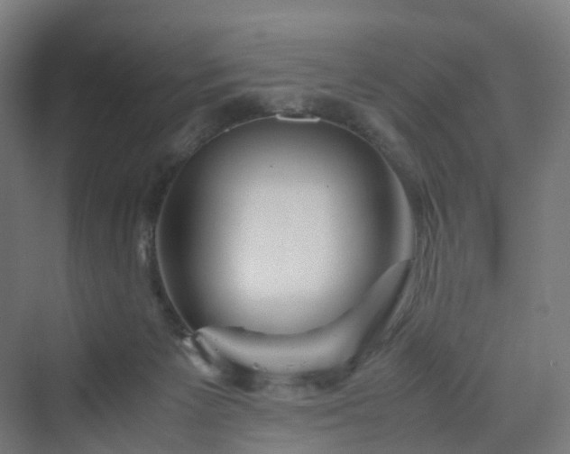 X0000070230125200606021357