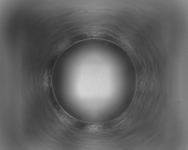 X0000070230126200606021357