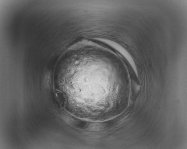 X0000070230127200606021357