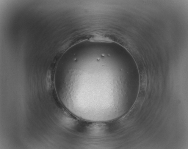 X0000070230128200606021357