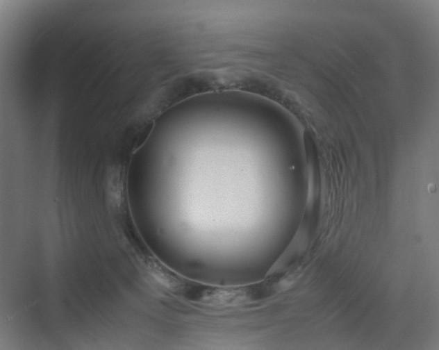 X0000070230129200606021357