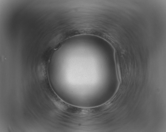 X0000070230130200606021357