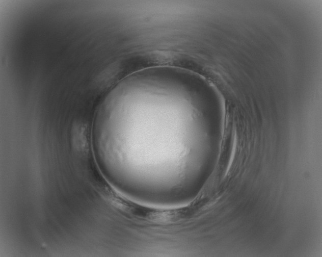 X0000070230131200606021357