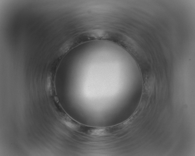 X0000070230132200606021357