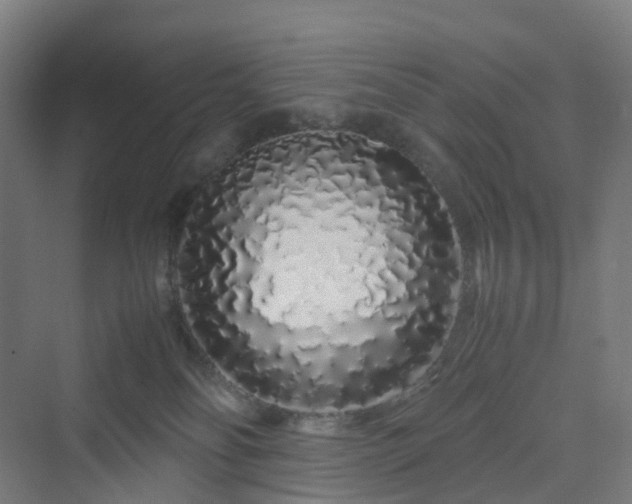 X0000070230134200606021357