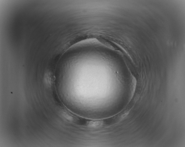 X0000070230135200606021357