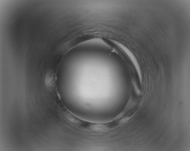 X0000070230137200606021357