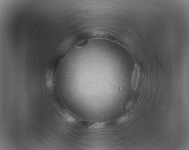 X0000070230138200606021357