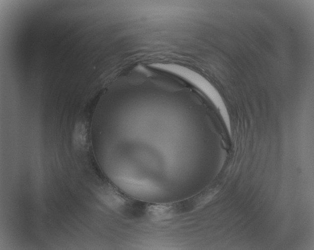 X0000070230139200606021357