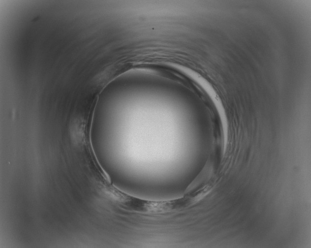 X0000070230141200606021357