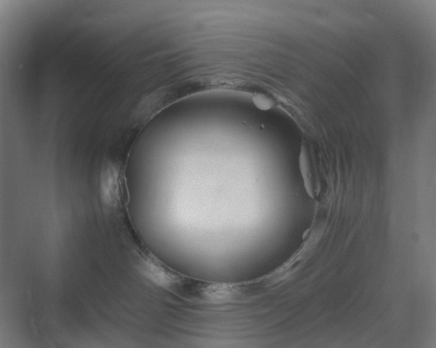 X0000070230142200606021357