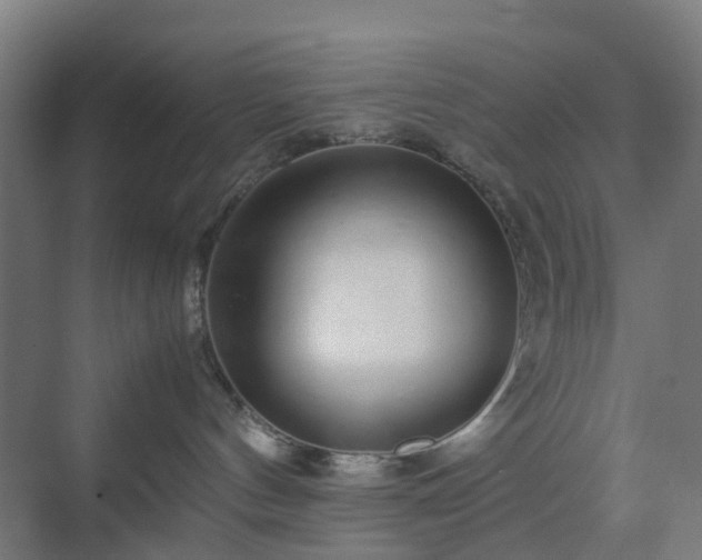 X0000070230144200606021357