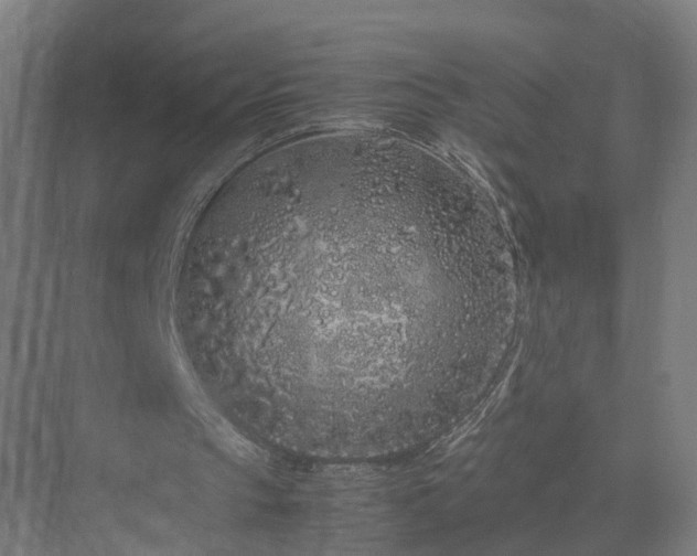 X0000070230145200606021356