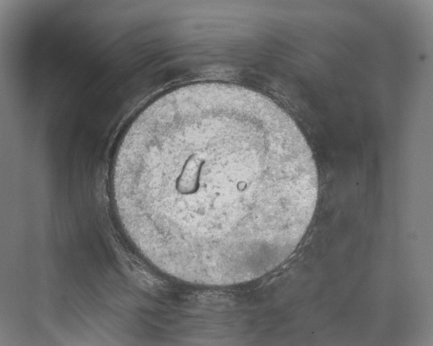 X0000070230146200606021356