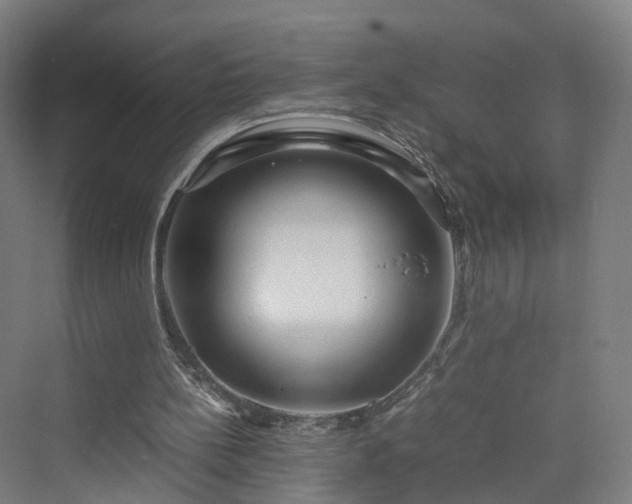 X0000070230148200606021356