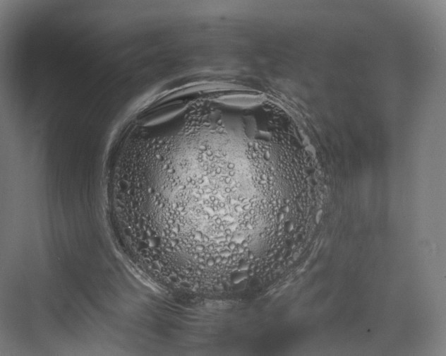 X0000070230149200606021356