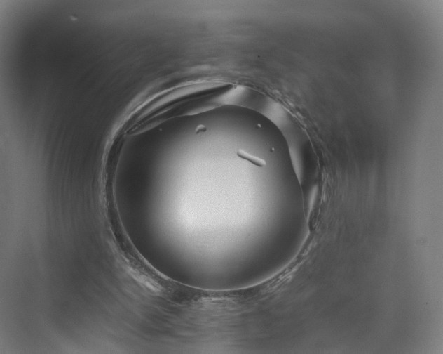 X0000070230150200606021356