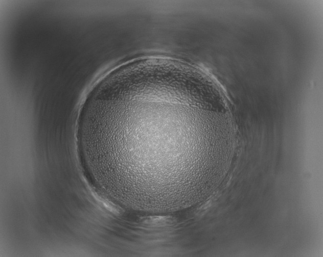 X0000070230151200606021356