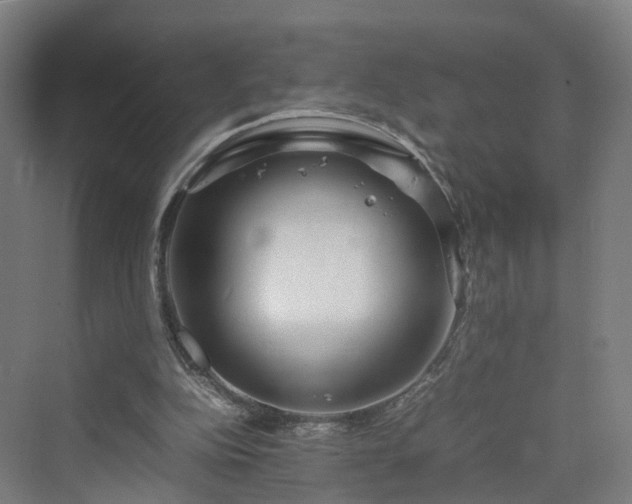 X0000070230152200606021356