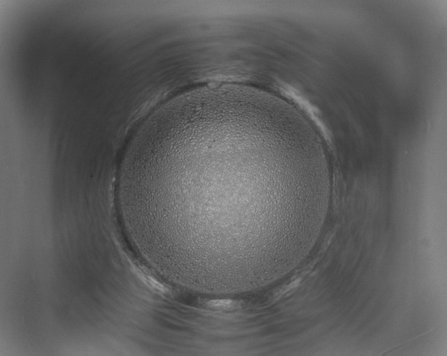 X0000070230153200606021356