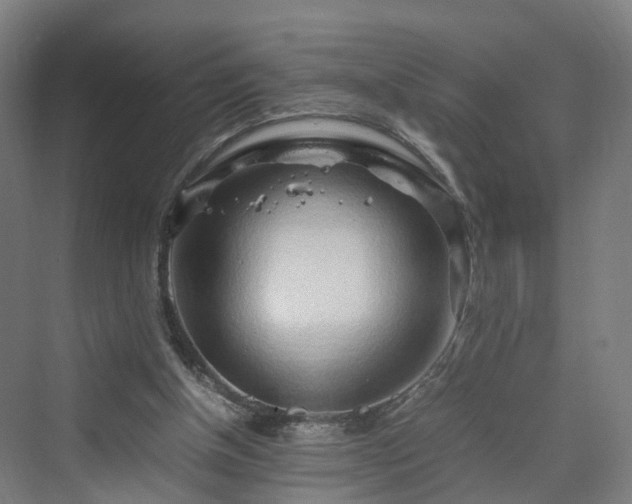 X0000070230154200606021356