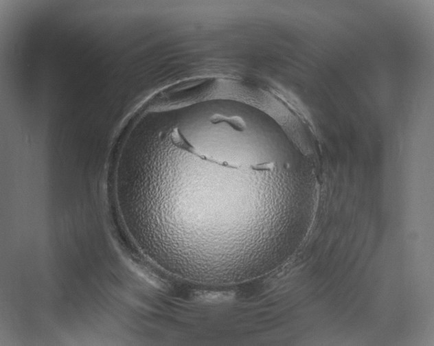 X0000070230155200606021356