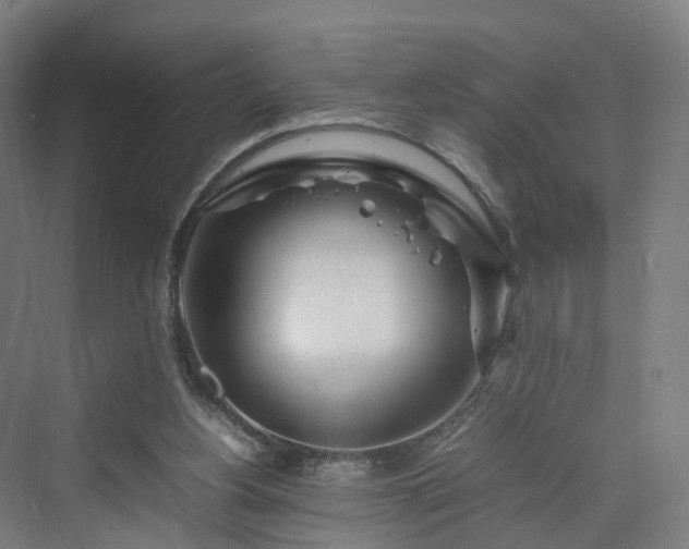 X0000070230156200606021356