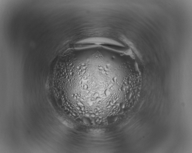 X0000070230161200606021356