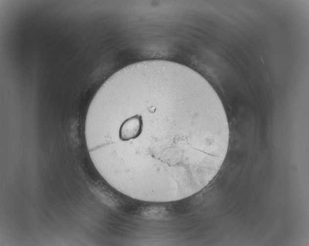 X0000070230162200606021356