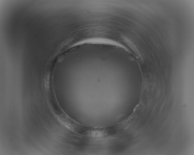 X0000070230163200606021356