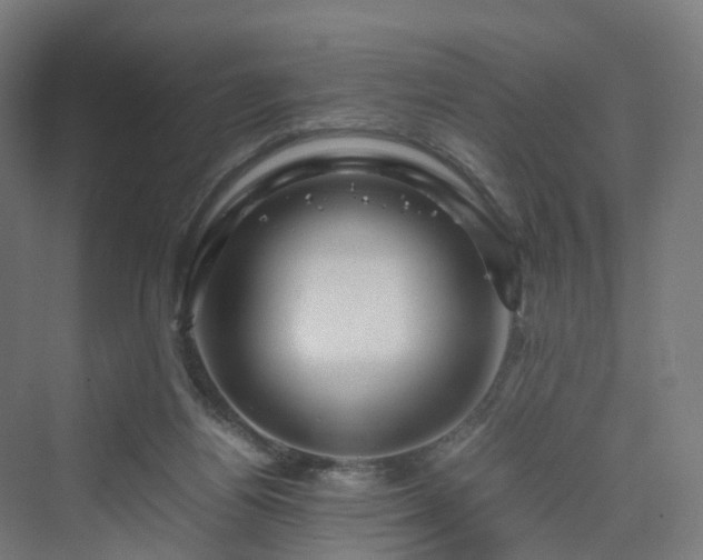 X0000070230164200606021356