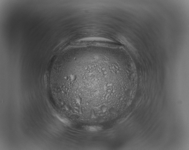 X0000070230165200606021356