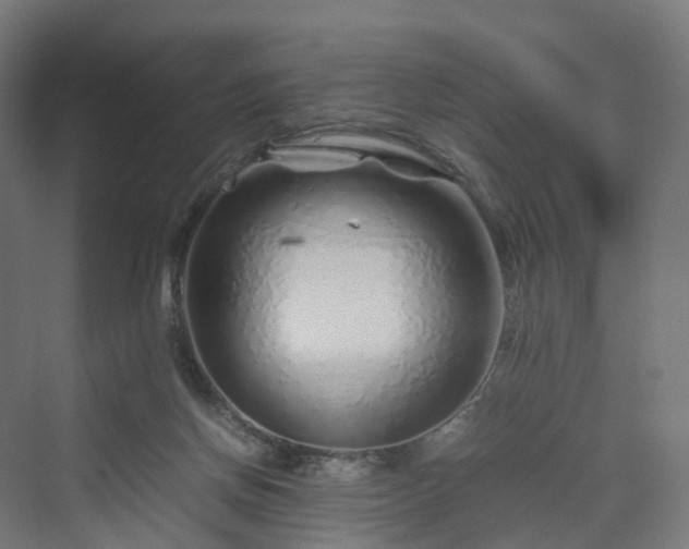 X0000070230166200606021356